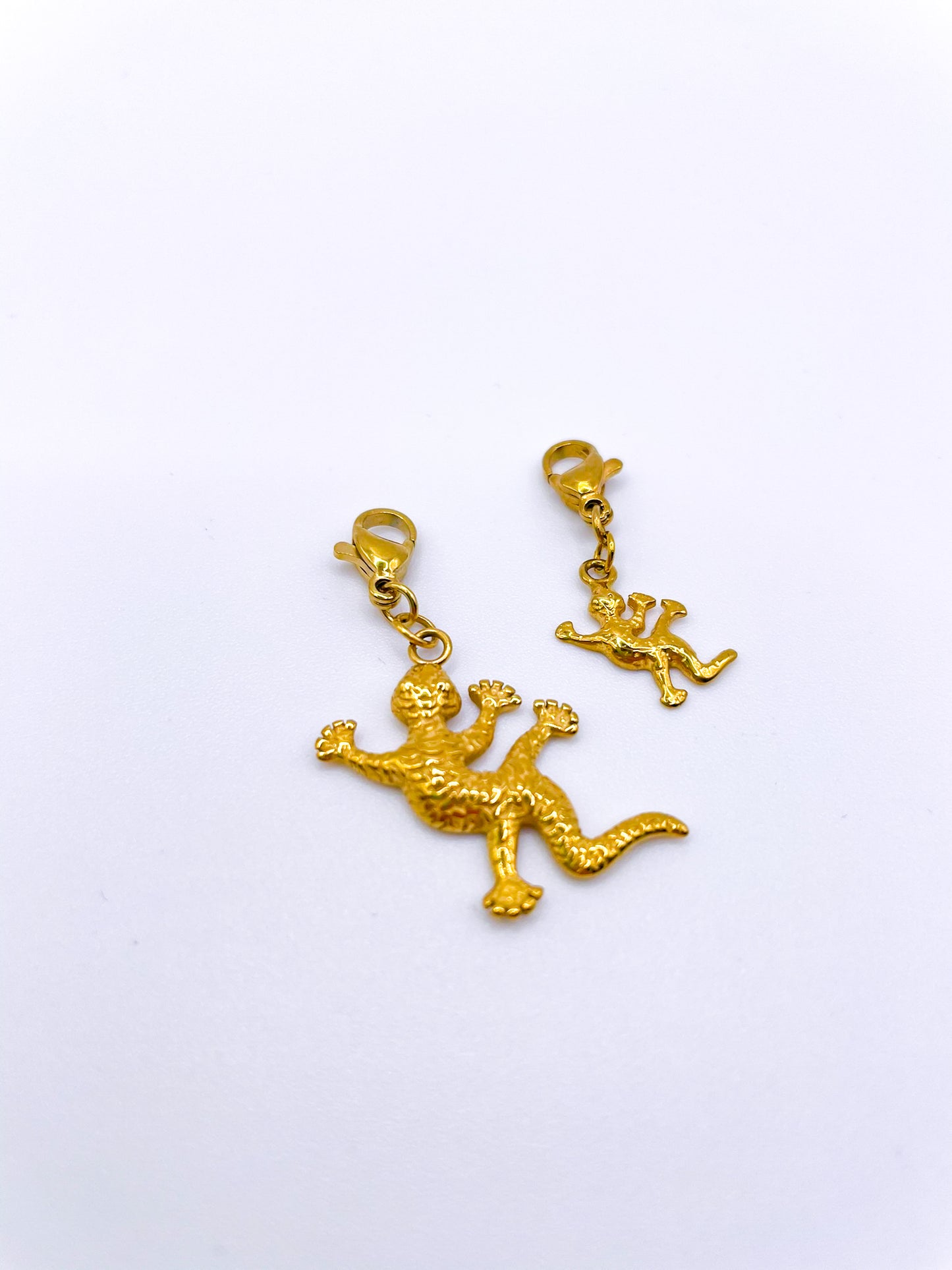 CHARMS LÉZARDS