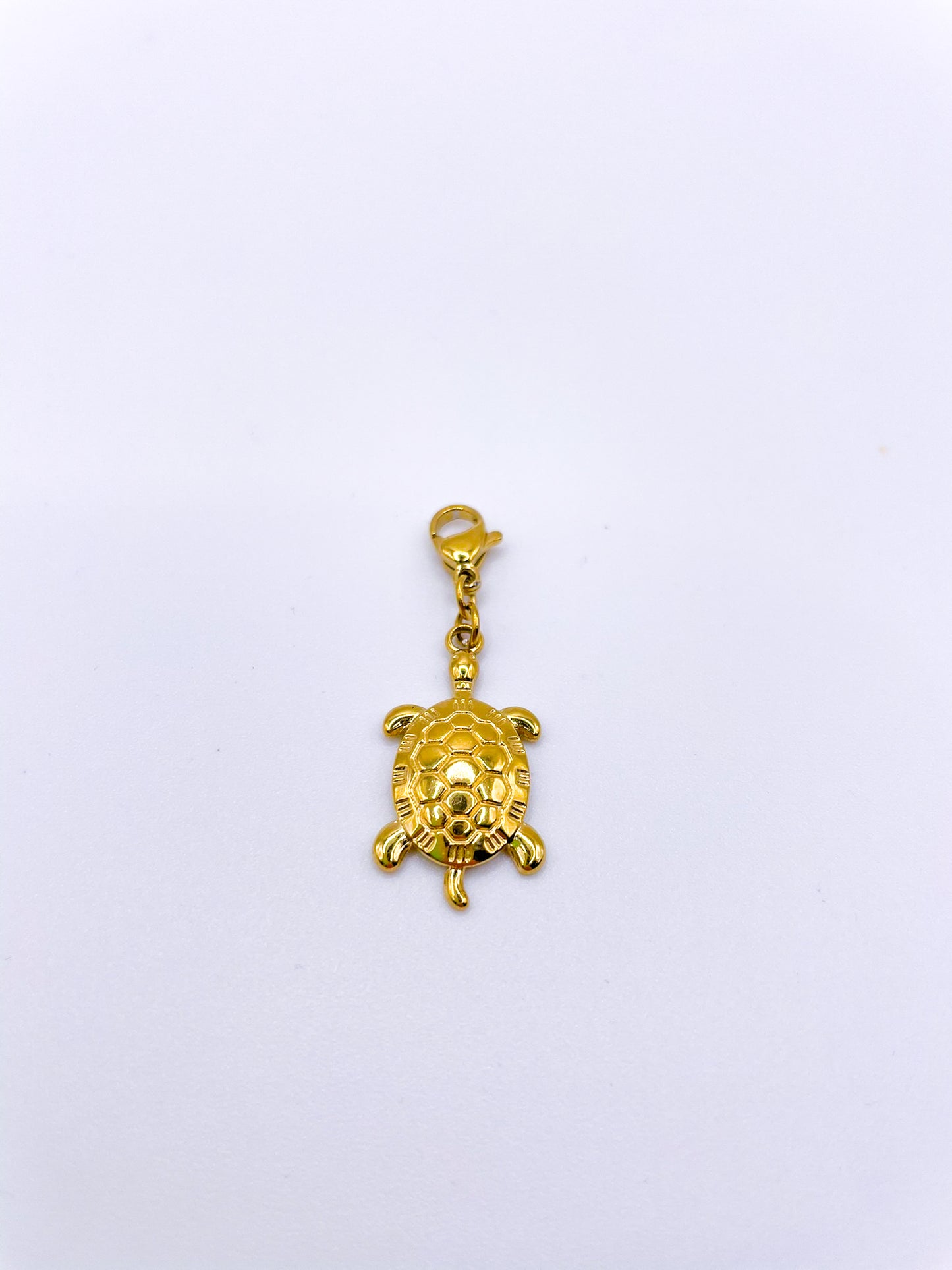 CHARMS TORTUE