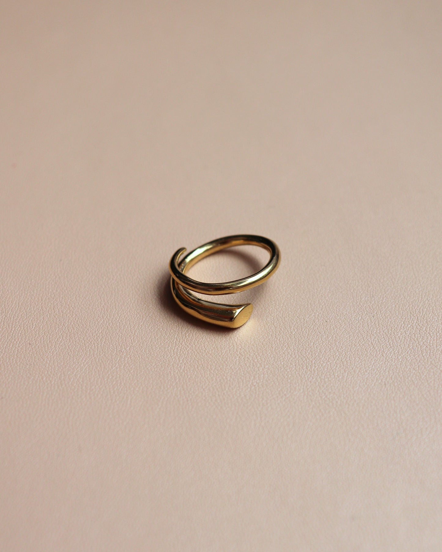 BAGUE - NAMI