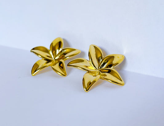 BOUCLES - LOLITA
