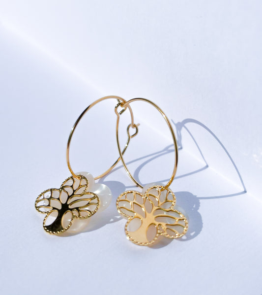 BOUCLES - CLAIRE