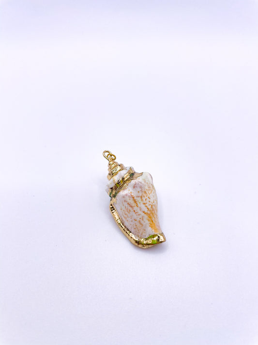 CHARMS CONQUE MARINE