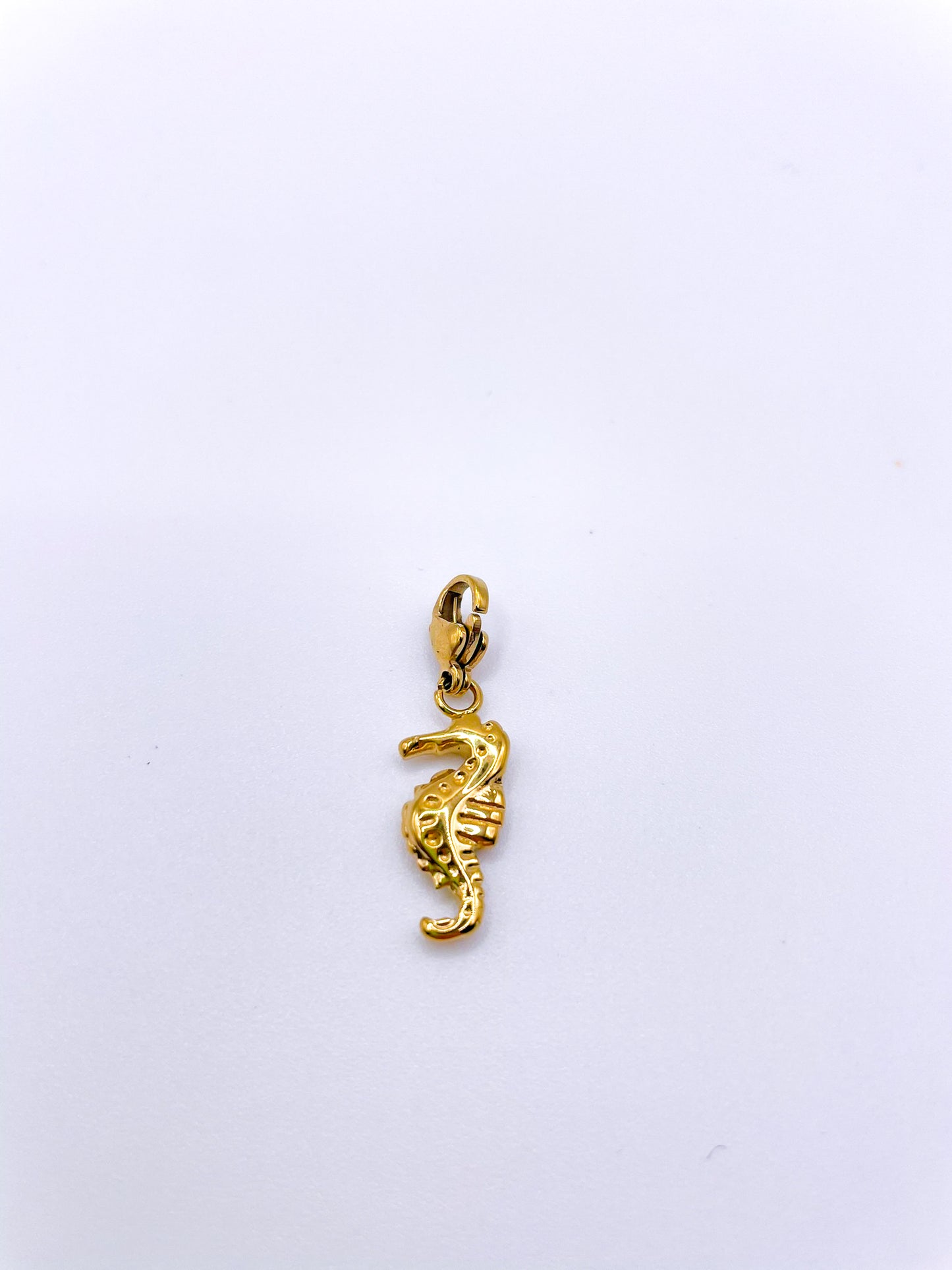 CHARMS HIPPOCAMPE