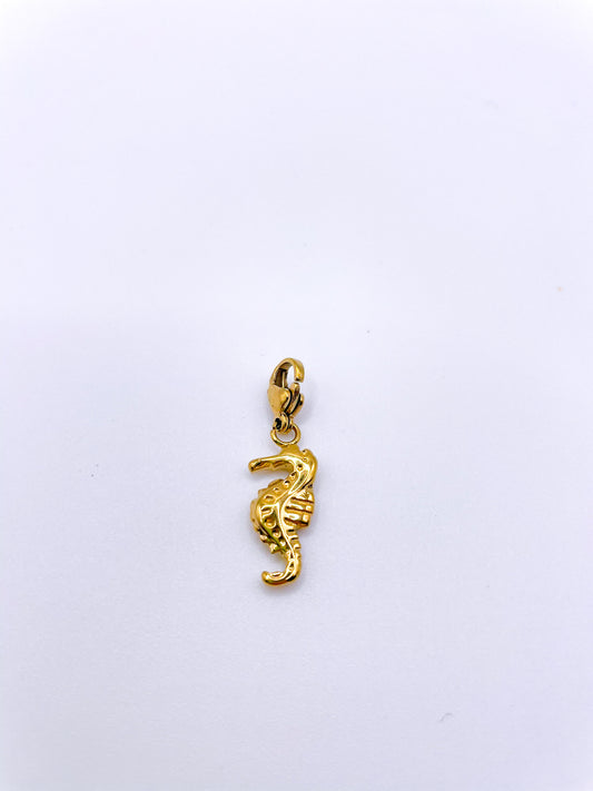CHARMS HIPPOCAMPE