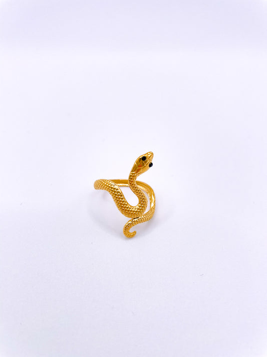 BAGUE - ALVA